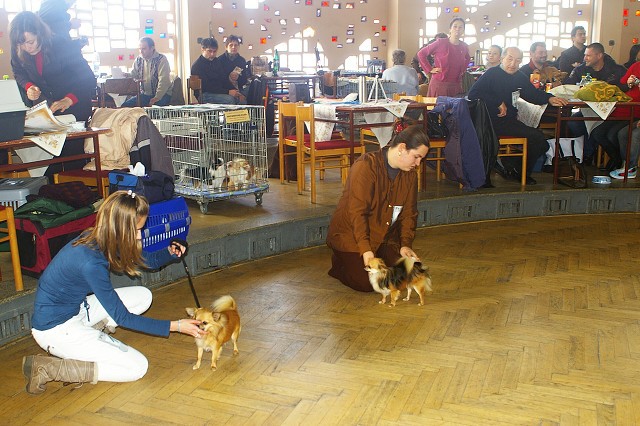 Kynologická revue *  www.dogsk.sk * www.eurodog.eu