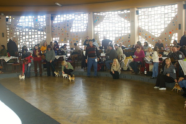 Kynologická revue *  www.dogsk.sk * www.eurodog.eu