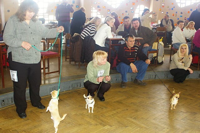 Kynologická revue *  www.dogsk.sk * www.eurodog.eu