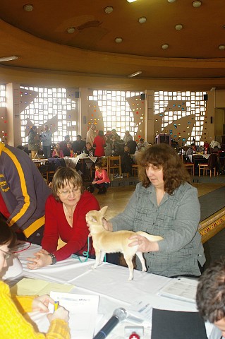 Kynologická revue *  www.dogsk.sk * www.eurodog.eu