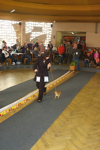 Kynologická revue *  www.dogsk.sk * www.eurodog.eu