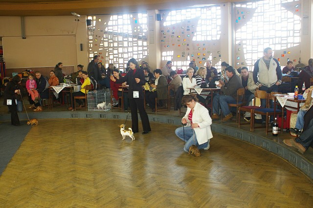 Kynologická revue *  www.dogsk.sk * www.eurodog.eu
