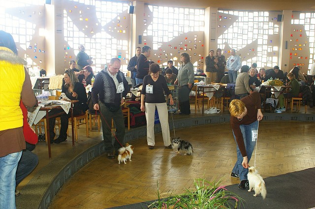 Kynologická revue *  www.dogsk.sk * www.eurodog.eu