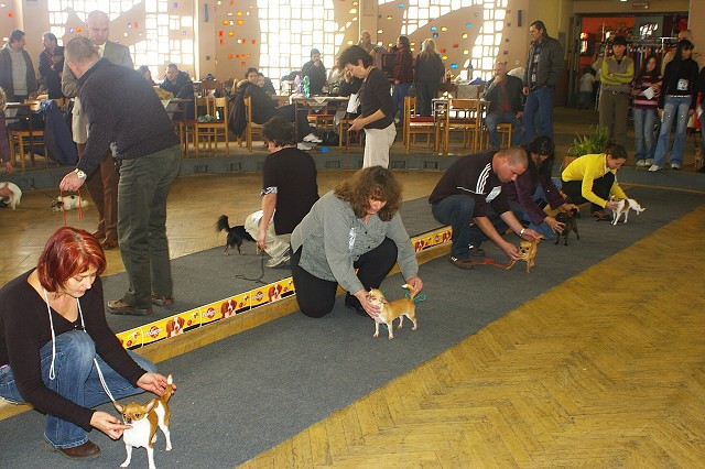 Kynologická revue *  www.dogsk.sk * www.eurodog.eu