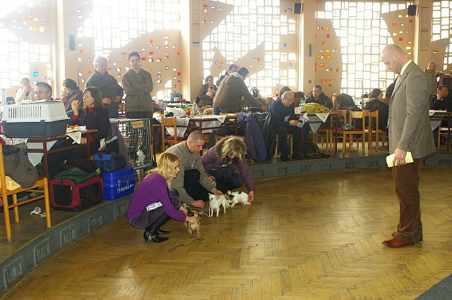 Kynologická revue *  www.dogsk.sk * www.eurodog.eu