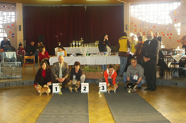 Kynologická revue *  www.dogsk.sk * www.eurodog.eu