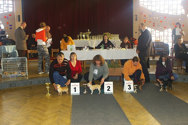 Kynologická revue *  www.dogsk.sk * www.eurodog.eu